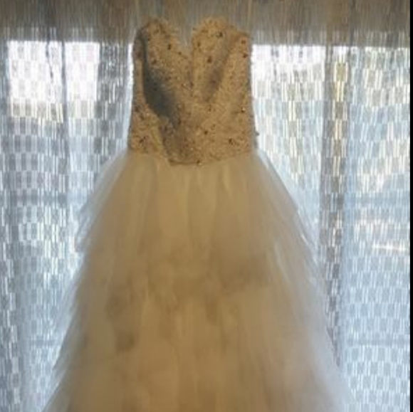 Elegant Wedding Dress - Picture 5 of 6